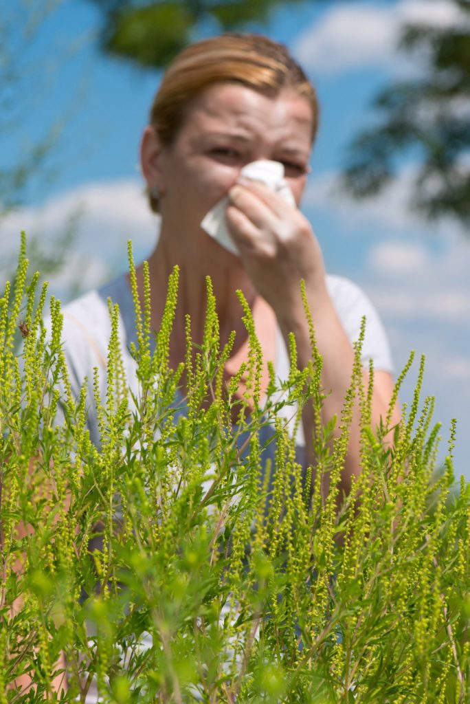 sezonske alergije – alergološka testiranja - blog - Primamed